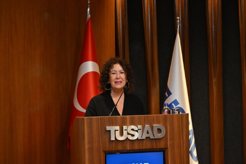 Özel sektör, ilgili babalık anlayışının yaygınlaştırılmasında kritik role sahip