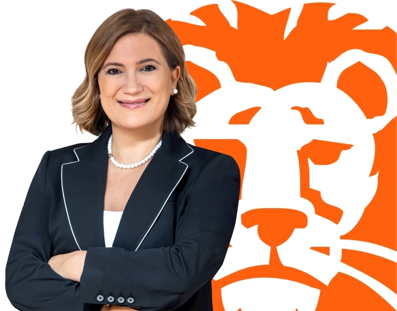 Hüsniye Ulu, ING Türkiye Tüzel Bankacılık Genel Müdürü Oldu