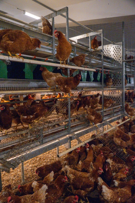 Tarım ve teknolojide kadınların varlığının güçlenmesine öncülük ediyor