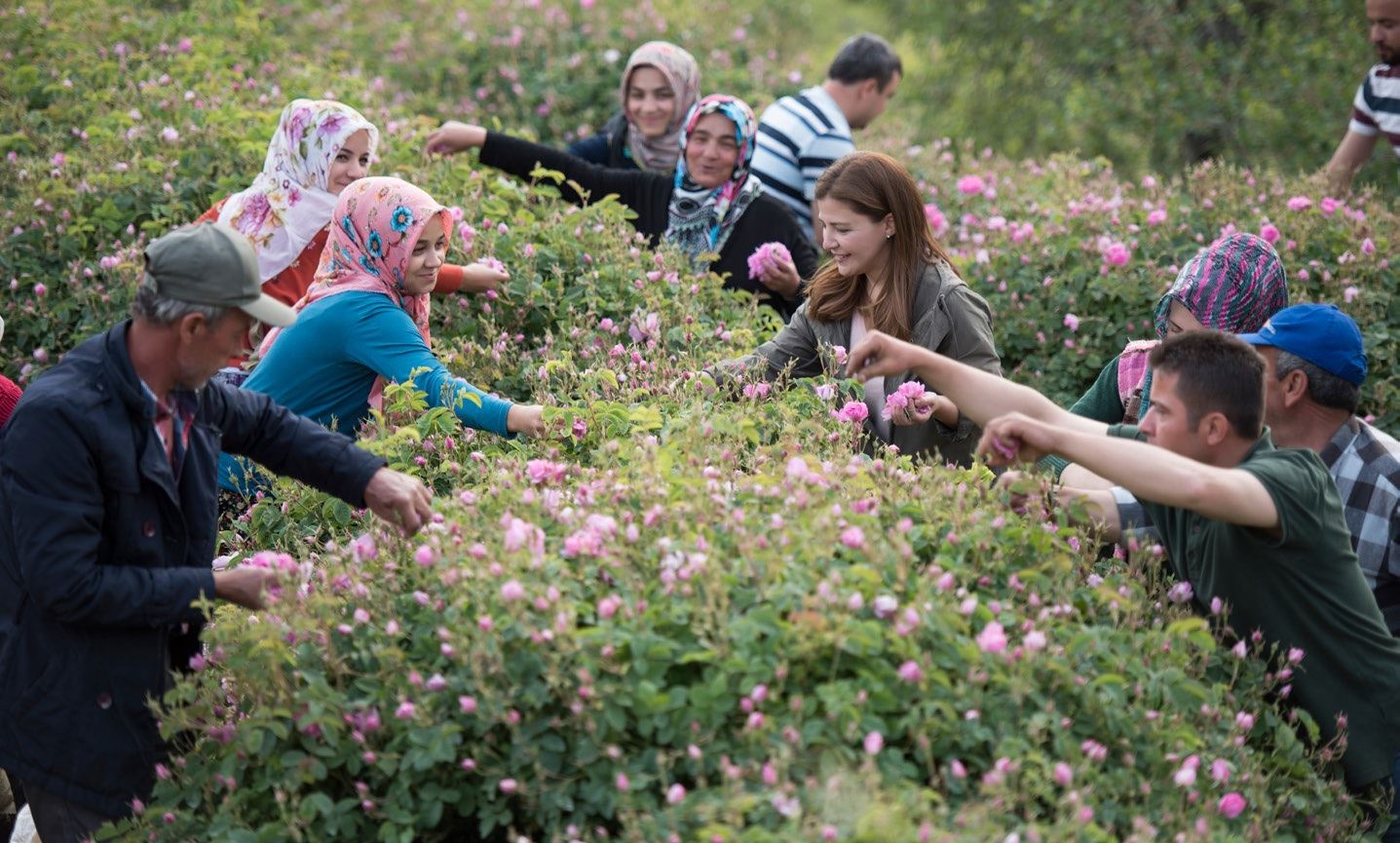GülşahGürkangülbahçesi