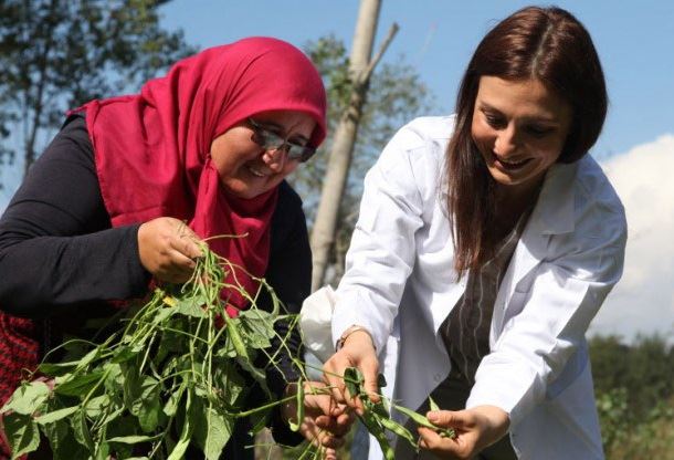 Reisin Projelerinin Odağında, ..
