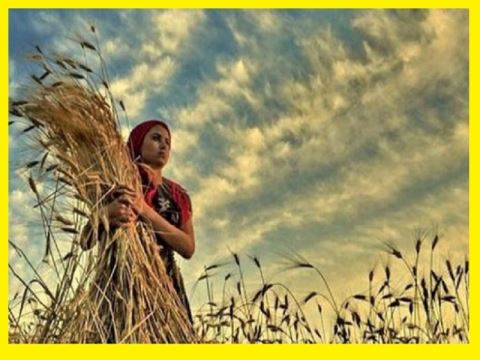 15 EKİM DÜNYA KADIN ÇİFTÇİLER GÜNÜ