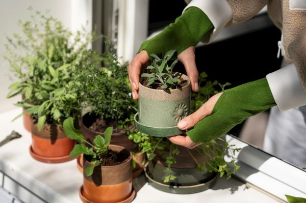 BÜYÜ BİTKİ VE BEE ORTAKLIĞI İLE SU DÖNGÜSÜ ATÖLYESİ