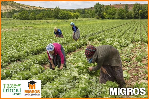 MİGROS KADIN AKADEMİSİ KADIN ÜRETİCLERİNİN ÜRÜNLERİ TAZEDİREKT’TE