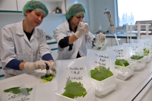 TEKFEN HER ALANDA KADIN GÜCÜNÜ DESTEKLİYOR