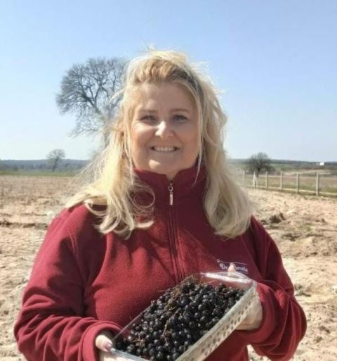 Aronya, İklim Krizine Karşı Sürdürülebilir Alternatifler Sunuyor