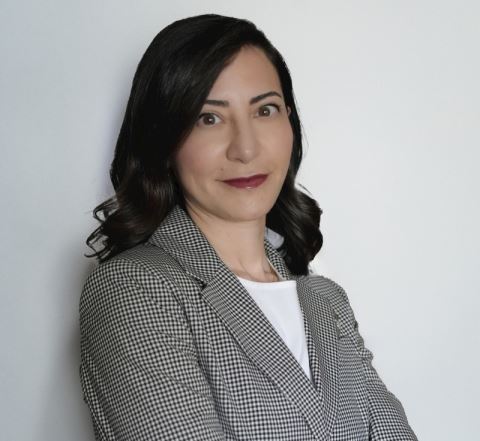 Ayşe Pehlivaner Güney, Mr Usta..