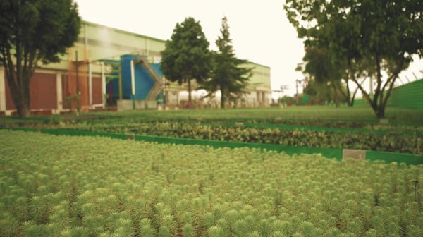 BORÇELİK ÇEVRE PROJELERİNE BİR YENİSİNİ DAHA EKLEDİ