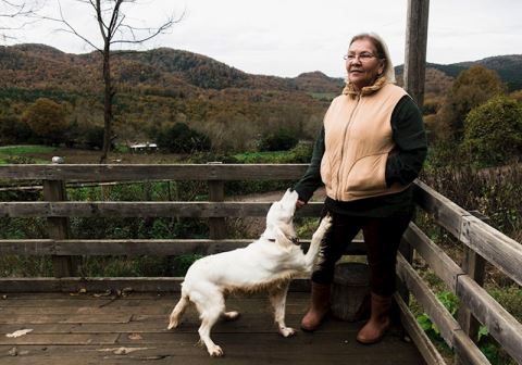 “Düşü olmayanın işi olmaz”