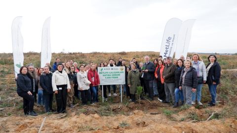 MetLife Türkiye, Şile’de Çalışanları Adına 5 Bin Fidanlık Orman Oluşturdu