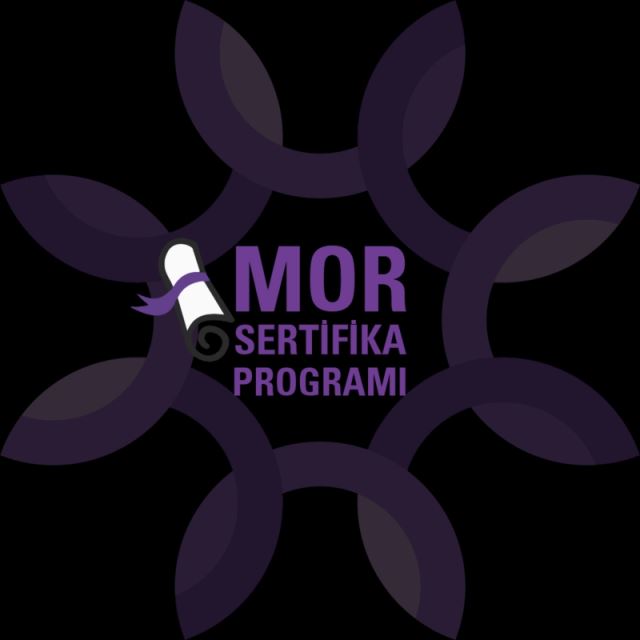 Mor Sertifika Programı, 19. Dö..