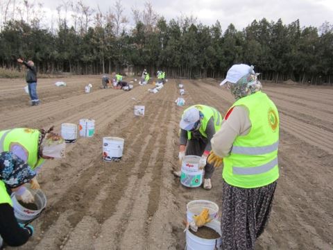 Türkiye’de 18 Bin Kadın Ormanlar İçin Çalışıyor